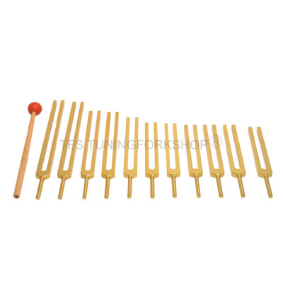 Gold Finish 12 Mineral Tuning Forks Set