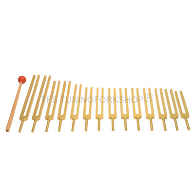 Gold Finish 14 Pc Meridian Tuning forks