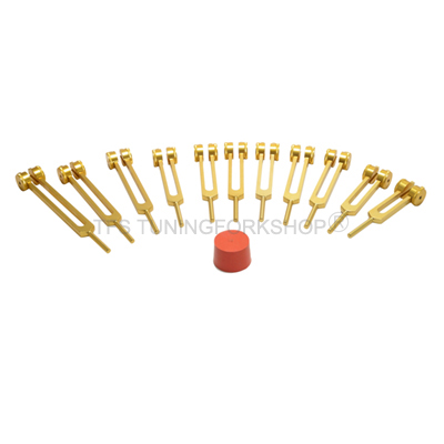 Gold Finish Song of the Spine Tuning Fork Set with Long Handles