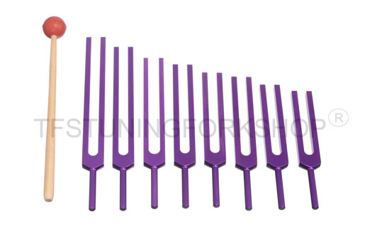 Purple Finish 8  Harmonic Spectrum Tuning Forks