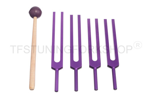 Purple Finish DNA Nucleotides Tuning Fork Set