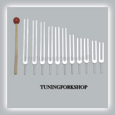 Cosmic Octave Planetary Tuning Forks