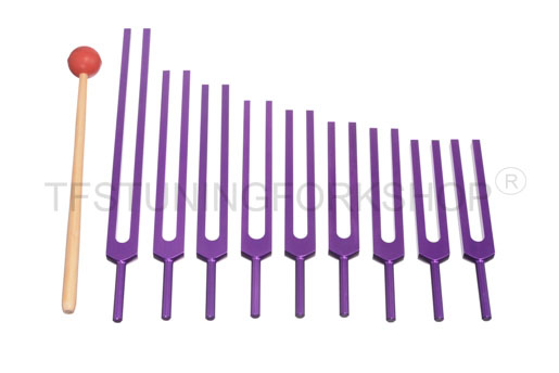 Purple Finish 9 Pc Sacred Solfeggio Tuning Fork Set