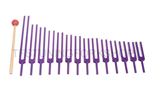 Purple Finish 14 Pc Meridian Tuning forks